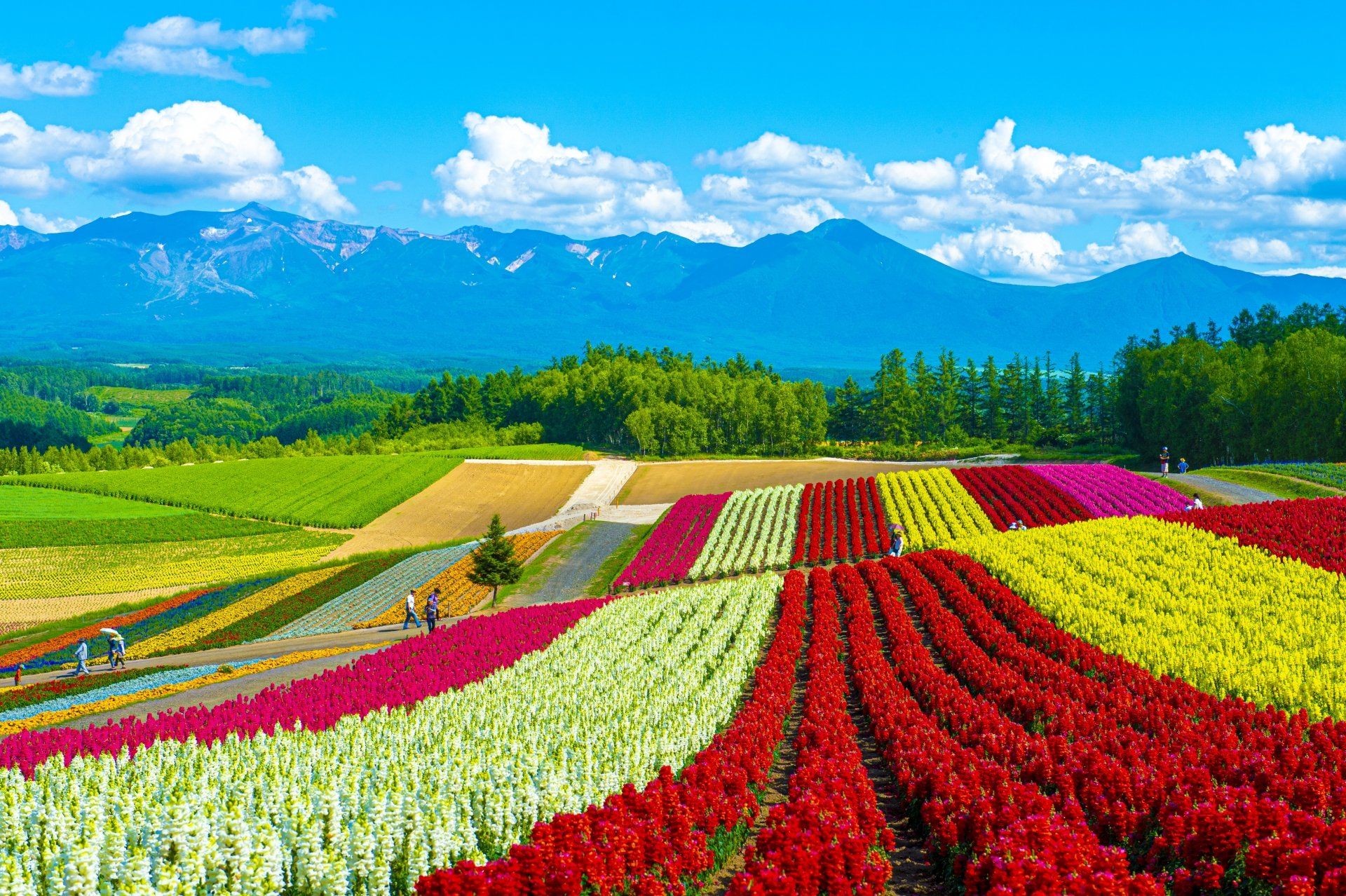Arrival in Hokkaido