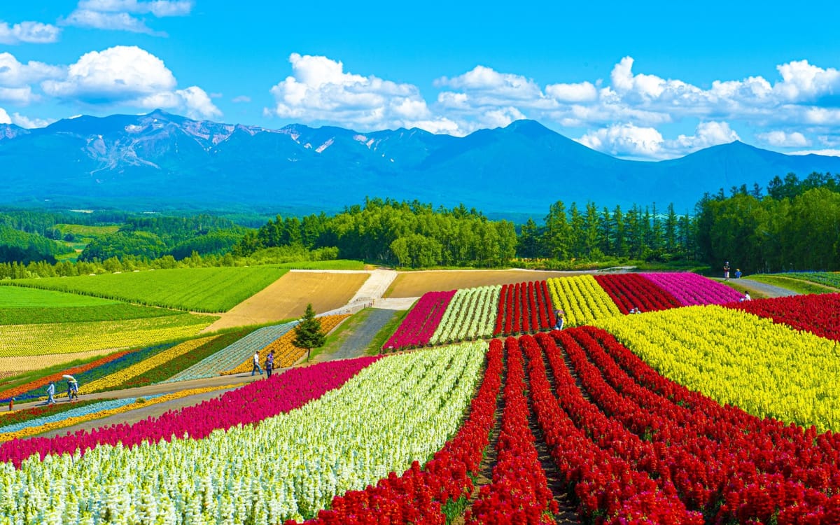 Arrival in Hokkaido