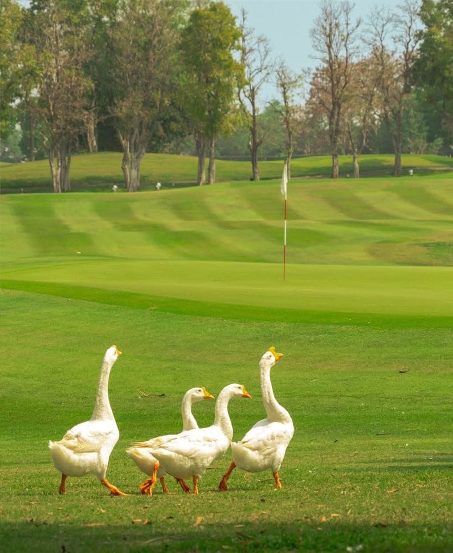 Rancho Charnvee Golf Course